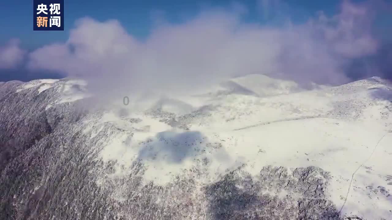 中年男逃脱