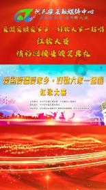破碎的动物图形2